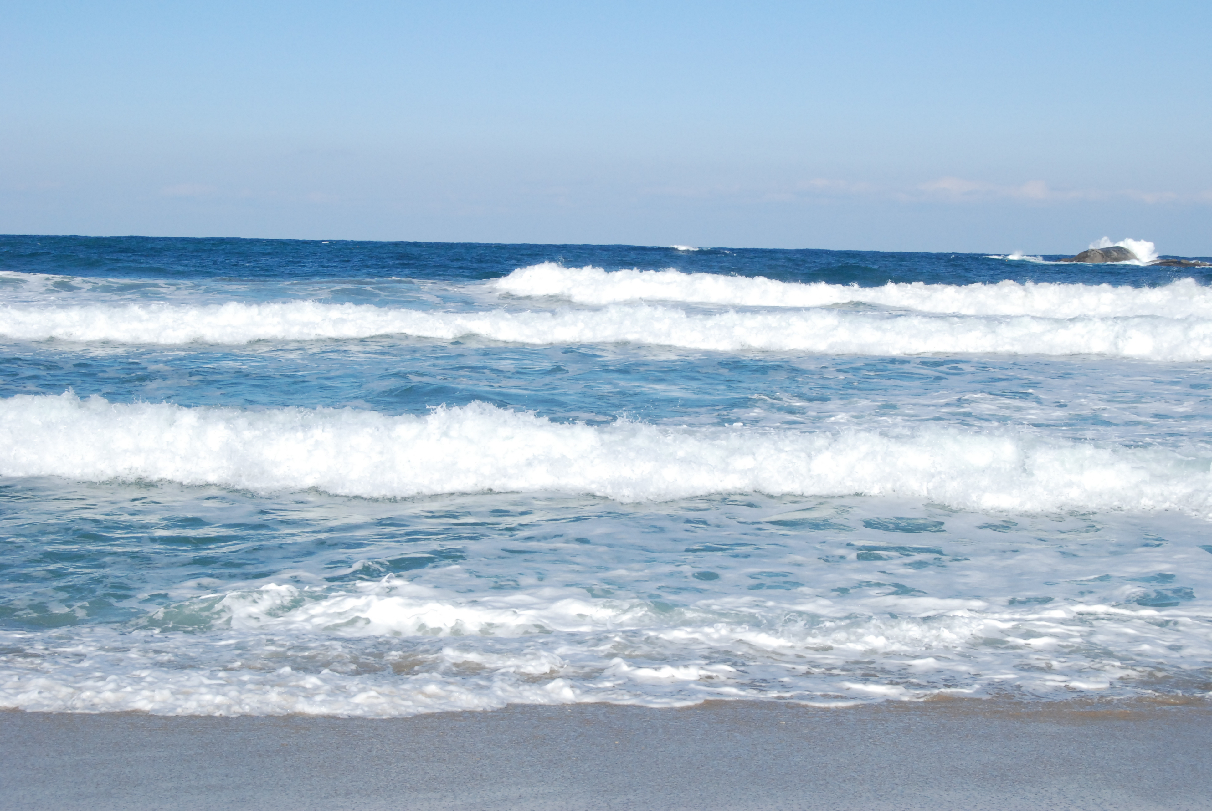 sea1_1.png