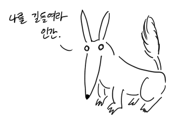 fox.png